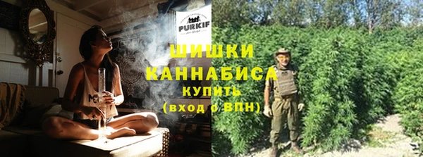 Альфа ПВП Осинники